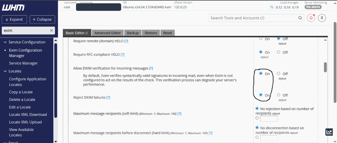 Figure 5 — Turning on DKIM verification for incoming mail in Exim.